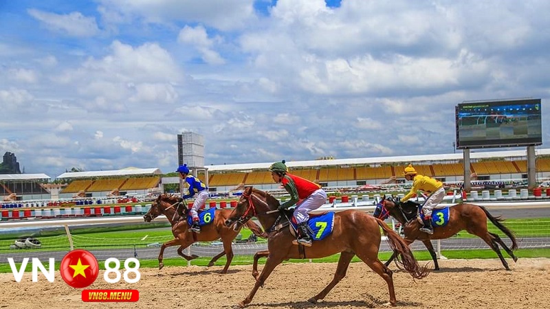 Huong dan tham gia cuoc dua ngua tai vn88 Hướng dẫn tham gia cược đua ngựa tại vn88